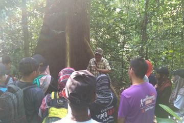 Forest Research Institute Malaysia (FRIM) Nature Trekking from Kuala Lumpur