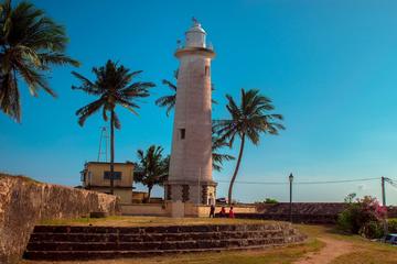 Galle Day Trip With Mangrove Safari From Colombo