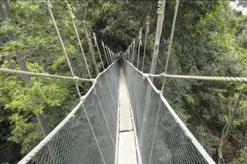 Kinabalu Park & Poring Hot Springs Tour From Kota Kinabalu
