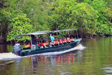 Klias River Safari from Kota Kinabalu