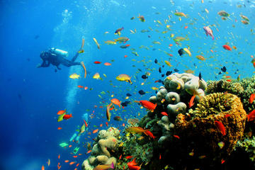 Kota Kinabalu Discover Scuba Diving