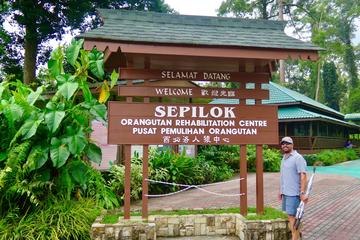 Kota Kinabalu Full day Sepilok Orang Utan Sandakan Nature City Tour