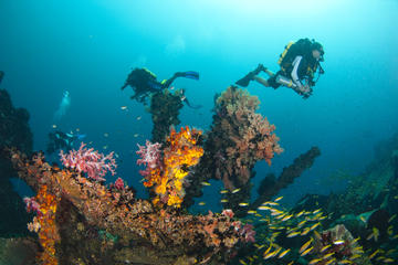 Kota Kinabalu Leisure Diving (Experienced Divers)