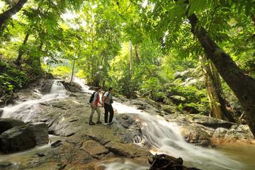 KUALA LUMPUR-A DAY IN RAINFOREST