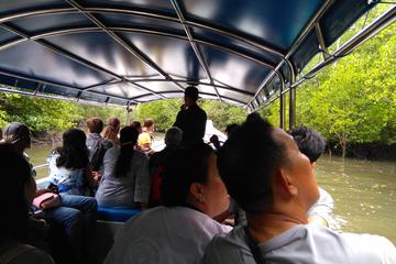 Langkawi Mangrove Forest & Cave Exploring Boat Private Tour
