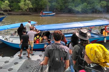 Langkawi Mangrove Forest and Cave Exploring Tour