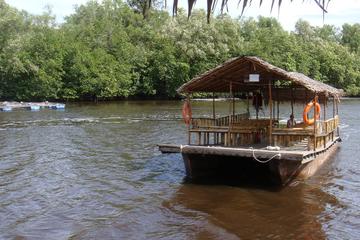 Mangrove Cruise & Crab Catching Tour From Kota Kinabalu
