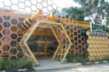 Melaka Full Day Garden Museum & Park Tour with Lunch