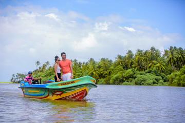 Muthurajawela Wetland Day Tour From Colombo