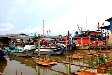 Paddy Field & Fishing Village Experience at Sekinchan from Kuala Lumpur