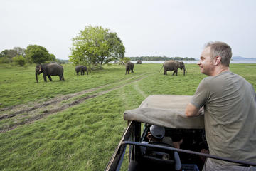 Private Dambulla & Kaudulla National Park Day Tour From Colombo