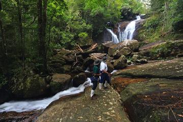 Private Day Trip To Sinharaja Rain Forest From Colombo