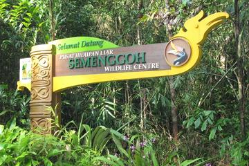 Sarawak Semenggoh Wildlife Centre Tour