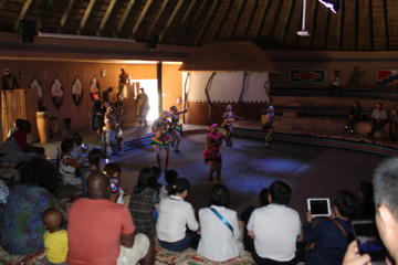 Half-Day Lesedi Cultural Village Tour from Johannesburg