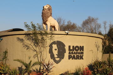 Lion Park Half-Day Tour from Johannesburg