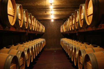 Half-Day Napier Wine Experience Tour