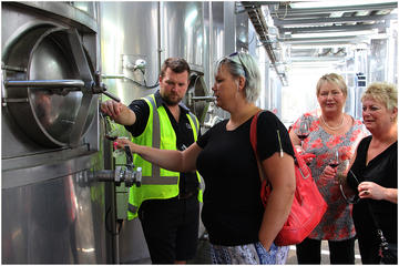 Half-Day Ultimate Wine Tour in Napier
