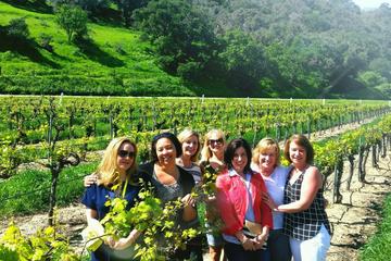 Day Trip Santa Ynez Valley All-Inclusive Wine Tour near Santa Barbara, California 