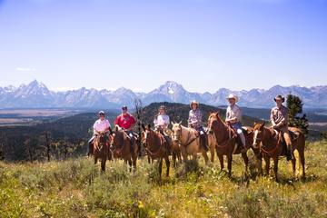 Horseback Riding in the Bridger-Teton National Forest