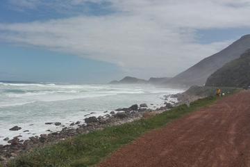 Cape Peninsula Full Day Tour to Cape Point