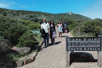 Cape Point and Boulders Beach Day Tour
