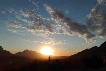 Full-Day Cape Winelands Private Tour from Stellenbosch