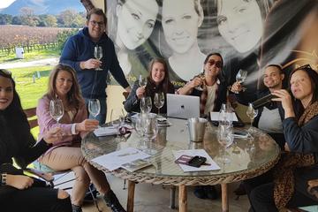 Full-Day Cape Winelands Tour from Franschhoek