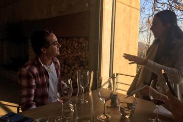 Private Wine tasting tour from Cape Town