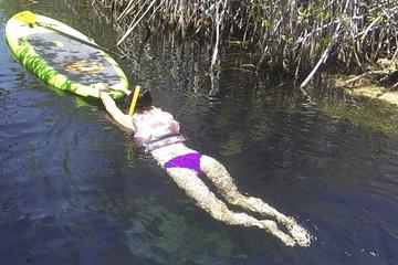SNORKELING CENOTE PADDLEBOARDING TOUR