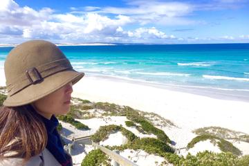 Coffin Bay Explorer Day Trip from Port Lincoln