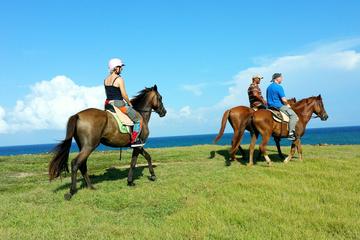 Horseback Riding at Atlantic Shores Beach