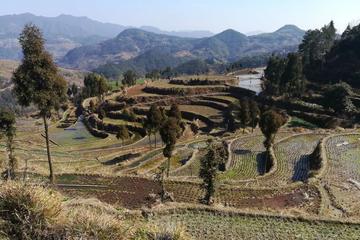 3 Days Rice Terrace and Mudflat Trip from Shanghai by high-speed train
