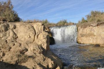 Day Tour to El Fayoum Oasis including Valley of the Whales