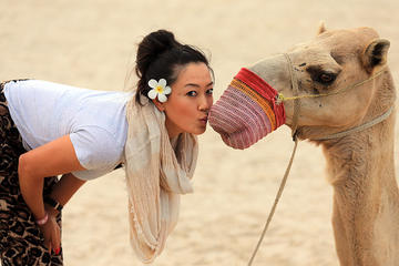 Explore The Sunset or Sunrise at Giza Pyramids By Camel and Horse Riding