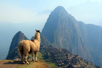 12-Day South America: Machu Pichu, Buenos Aires, Iguazu Falls, Rio de Janeiro