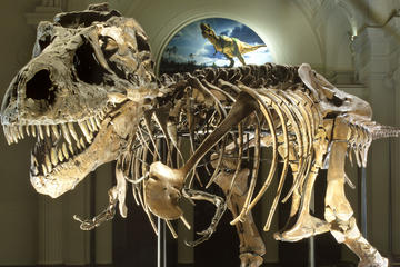 Field Museum of Natural History Admission