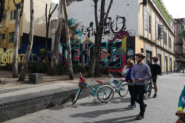Mexico City Urban Art Bike Tour in Open Gallery