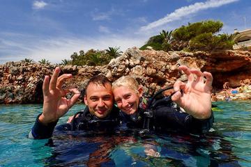 6 Dive Package in Sa Coma