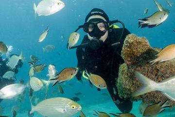 PADI Discover Scuba Diving Course in Sa Coma