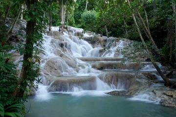 Half Day Tour of Dunn's River Falls