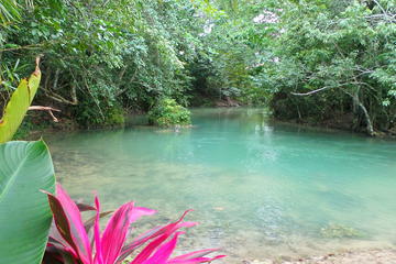 Reggae Hill and Aqua Tubing Adventure from Ocho Rios