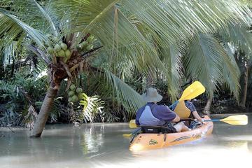 Mangrove monkey land on kayak or motor boat