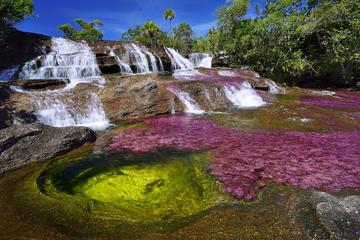 Caño Cristales (Rainbow River) from Bogotá 3-Day with English Guide