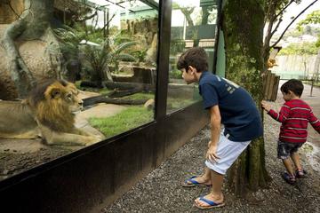 Private kids and family fun in Rio