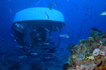 Coral Reef Submarine Tour in Cozumel
