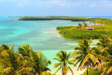 Day Trip to Contoy Island, Snorkeling and Bird Watching Tour