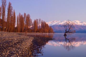 Full-Day Arrowtown and Wanaka Tour from Queenstown