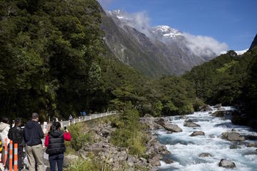 Milford Sound Scenic Private Tour
