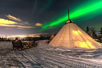 Overnight Stay in Lavvu, Northern Lights and Reindeer Sledding in Tromso