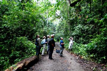 Bird Watching at Pipeline Road